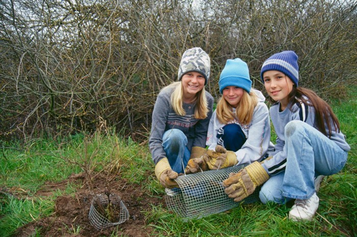 STRAW: Students and Teachers Restoring A Watershed